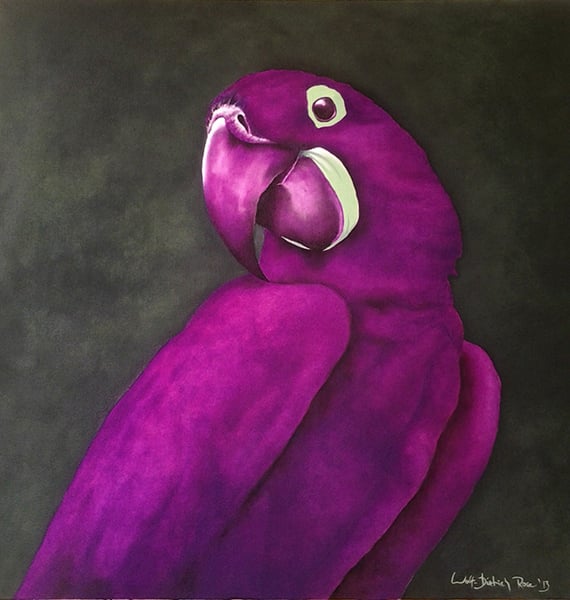 Papagei (2003) / Öl a. L. / 80x80cm